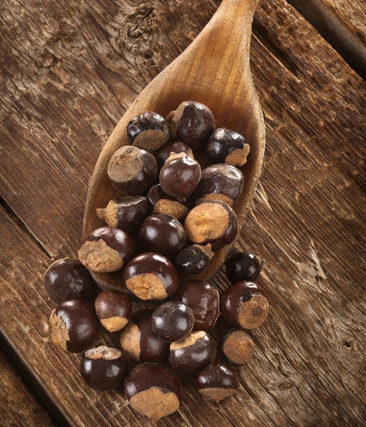 Guaraná (Paullinia cupana)